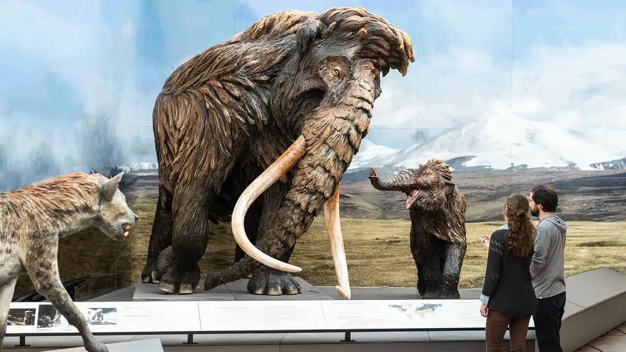 Eine große Mammutskulptur im Haus der Natur in Salzburg